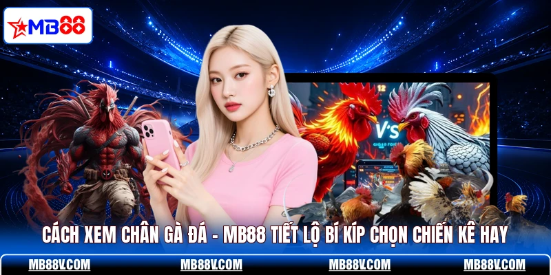Đá Gà MB88 - Xem Trận Đấu Kịch Tính Từng Phút 24/7 - PLAY572