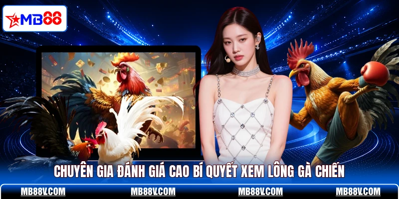 Cách Xem Lông Gà Đá MB88 - Bí Quyết Của Cao Thủ Lâu Năm - PLAY572
