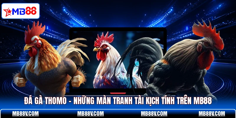 Đá Gà MB88 - Xem Trận Đấu Kịch Tính Từng Phút 24/7 - PLAY572