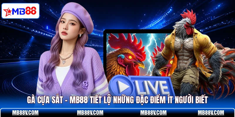 Đá Gà MB88 - Xem Trận Đấu Kịch Tính Từng Phút 24/7 - PLAY572