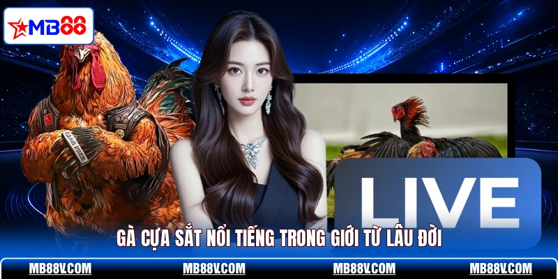 Gà Cựa Sắt - MB88 Tiết Lộ Những Đặc Điểm Ít Người Biết - PLAY572