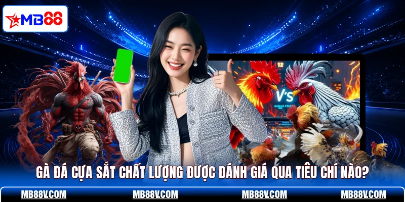 Gà Cựa Sắt - MB88 Tiết Lộ Những Đặc Điểm Ít Người Biết - PLAY572
