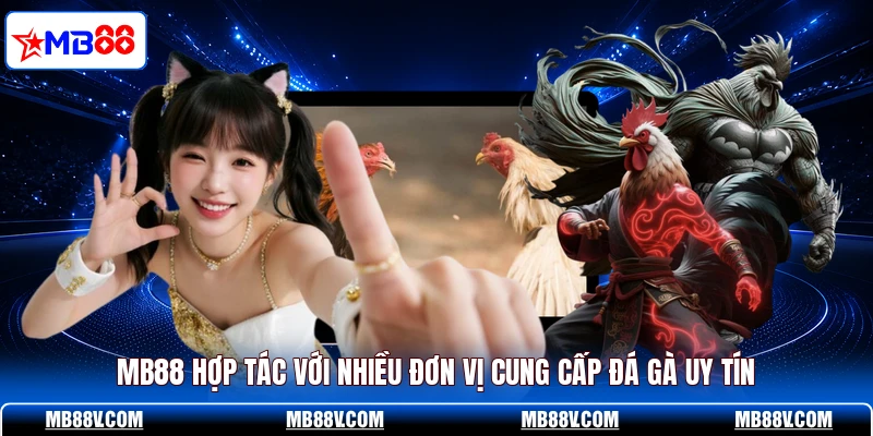Đá Gà MB88 - Xem Trận Đấu Kịch Tính Từng Phút 24/7 - PLAY572