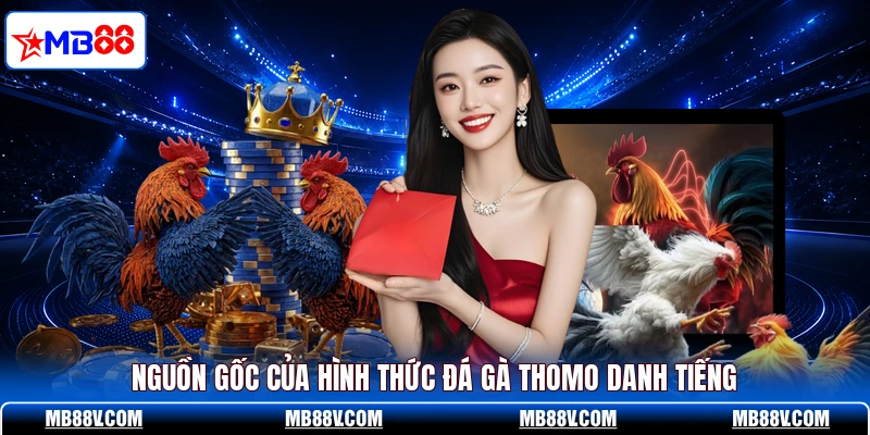 Đá Gà Thomo - Những Màn Tranh Tài Kịch Tính Trên MB88 - PLAY572