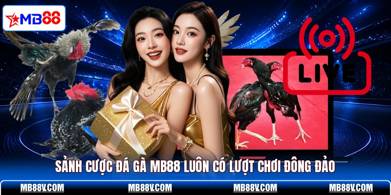Đá Gà MB88 - Xem Trận Đấu Kịch Tính Từng Phút 24/7 - PLAY572