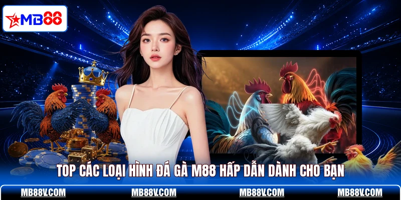 Đá Gà MB88 - Xem Trận Đấu Kịch Tính Từng Phút 24/7 - PLAY572