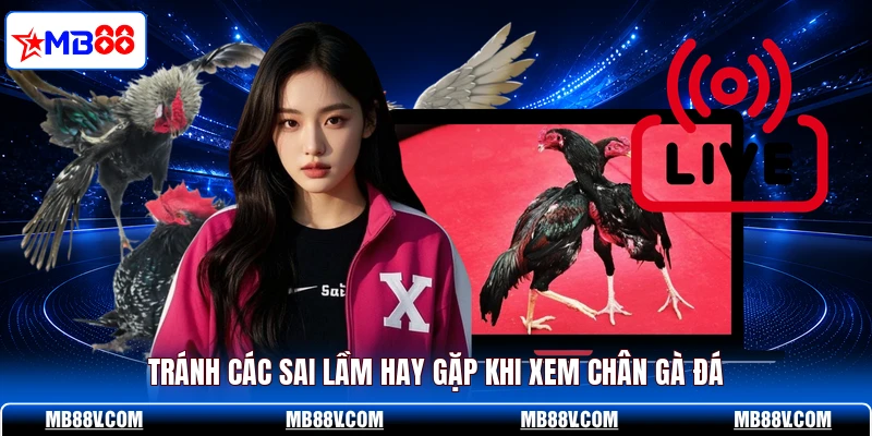Cách Xem Chân Gà Đá - MB88 Tiết Lộ Bí Kíp Chọn Chiến Kê Hay - PLAY572